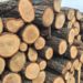 Lemnele pentru consumatorii casnici nu se vor scumpi. Guvernul promite prețuri similare cu cele de anul trecut