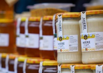 „Chiar dacă au crescut cheltuielile, suntem nevoiți să vindem mierea mai ieftin”. Apicultorii adunați la Târgul Mierii au relatat despre problemele cu care se confruntă | VIDEO