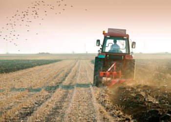 Chișinăul solicită Tiraspolului excluderea termenului-limită de 31 august pentru accesul la terenurile agricole din raionul Dubăsari