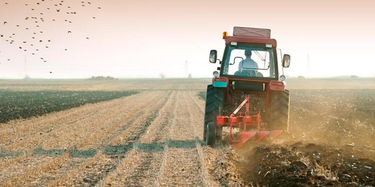 Chișinăul solicită Tiraspolului excluderea termenului-limită de 31 august pentru accesul la terenurile agricole din raionul Dubăsari