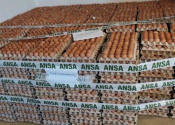 Mai multe loturi cu ouă de găină, depistate cu Salmonella, retrase de pe piață