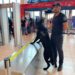 Un patruped specializat în depistarea explozibilului, ales să activeze la Aeroportul Chișinău: Veghează verificarea pasagerilor și bagajelor