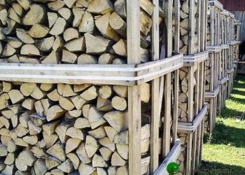 Генсек правительства Думитру Удря уточнил,  какие категории учреждений и граждан смогут купить дрова по фиксированной цене | VIDEO