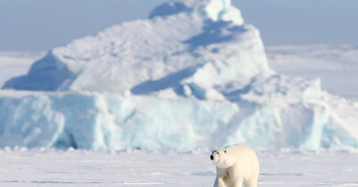 США учредят должность посла по делам Арктики