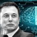 Elon Musk încearcă să obțină un acord cu dezvoltatorul de cipuri cerebrale Synchron, după ce Neuralink, compania sa, a rămas în urmă
