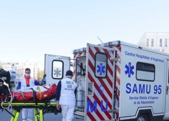 Во Франции выявили 2,6 тыс. случаев заражения людей оспой обезьян