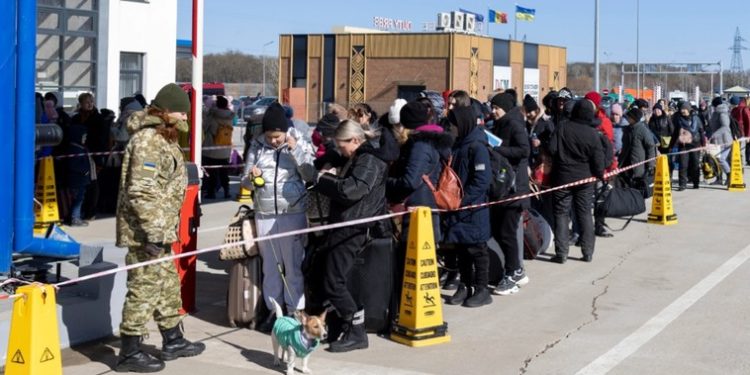 ANOFM: 728 refugiați ucraineni sunt angajați în câmpul muncii din R. Moldova