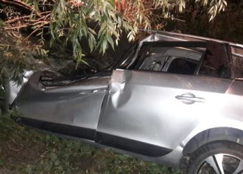 Accident rutier, la Hîncești. O tânără de 20 de ani a decedat după ce s-a tamponat cu automobilul într-un copac