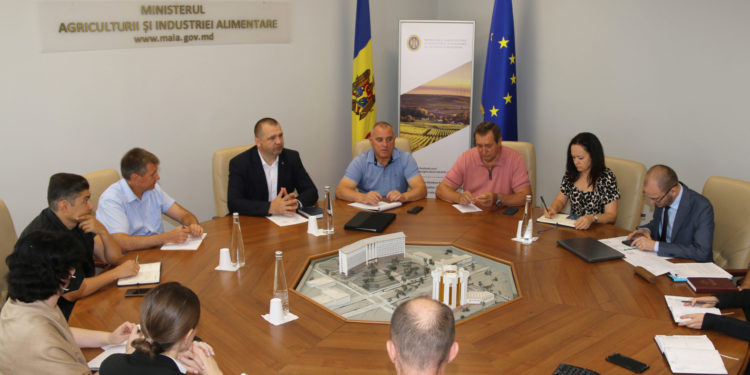 Ministerul Agriculturii caută soluții, după ce Rusia a interzis importul de produse vegetale din Moldova: „Decizia ar putea avea un impact major asupra producătorilor”