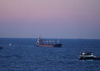 Первое судно с украинским зерном прибыло в Стамбул