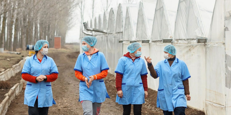 Proiect de integrare în câmpul muncii a refugiaților ucraineni, lansat în Republica Moldova