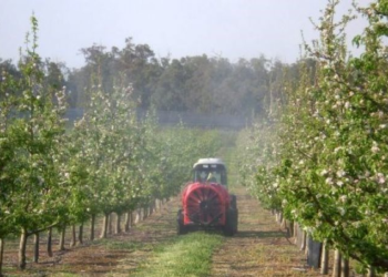 Autoritățile caută soluții după ce Rusia a anunțat că, interzice importul produselor vegetale moldovenește. Producătorii spun că nici piața europeană și nici nimeni nu îi va salva