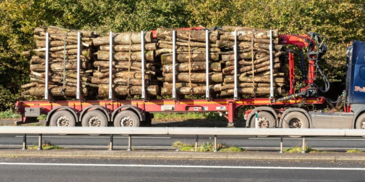 Ungaria vrea să interzică exporturile de lemn de foc, după ce livrarea de petrol rusesc prin conducta Drujba a fost oprită