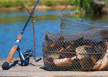 Рыбная ловля в пограничных водах в ночное время запрещена законом