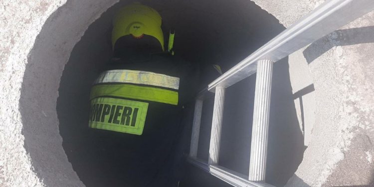 Un câine blocat într-o fântână de canalizare a fost salvat de pompieri, la Ștefan Vodă