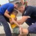 Pompierii au salvat un băiețel de 11 ani, rămas cu piciorul blocat în grila de fontă a canalului de scurgere | VIDEO
