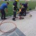 Pompierii au salvat un băiețel de 11 ani, rămas cu piciorul blocat în grila de fontă a canalului de scurgere | VIDEO