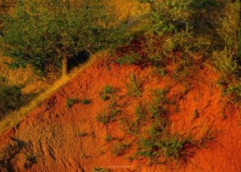 Un monument natural unic din sudul Moldovei, aproape ca Canionul din Colorado, se transformă într-o groapă de gunoi | VIDEO