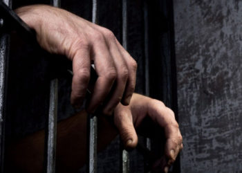 „Robie” în secolul 21: Un bărbat din Edineț, bănuit de exploatare prin muncă și deținere ilegală de arme | VIDEO