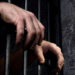 „Robie” în secolul 21: Un bărbat din Edineț, bănuit de exploatare prin muncă și deținere ilegală de arme | VIDEO