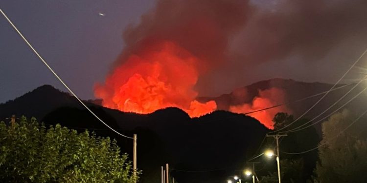 Un pensionar este acuzat că a provocat incendiile de vegetație din Thassos. Ce au găsit polițiștii în mașina sa