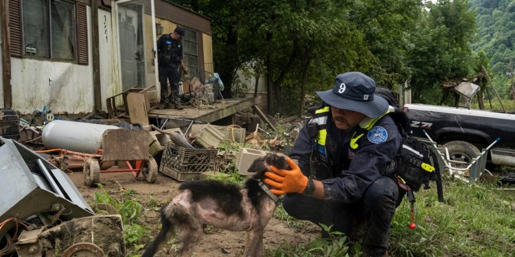 „Vom găsi cadavre săptămâni de acum încolo”. În Kentucky devastat de inundații, salvatorii merg din uşă în uşă pentru a număra morții