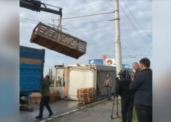 В Бендерах перевернулась фура, которая перевозила живых свиней