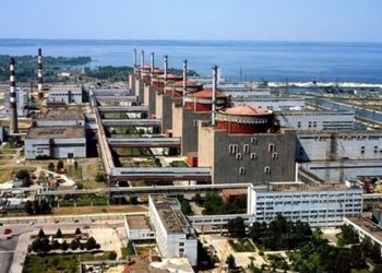 МАГАТЭ: Взрывы возле ЗАЭС могли спровоцировать животные