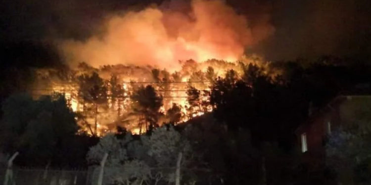 На курорте в Турции произошел лесной пожар