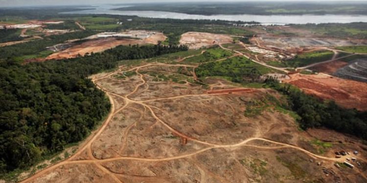 Defrişările în pădurea amazoniană de pe teritoriul Braziliei au crescut cu peste 80% în august, comparativ cu anul trecut