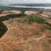 Defrişările în pădurea amazoniană de pe teritoriul Braziliei au crescut cu peste 80% în august, comparativ cu anul trecut