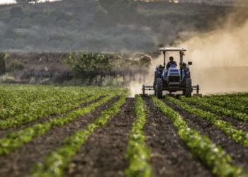 Protestul fermierilor, anunțat pentru 20 septembrie, sub semnul întrebării: Agricultorii explică în ce condiții ar putea anula manifestațiile | VIDEO