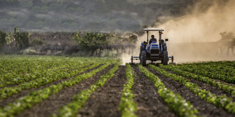 Protestul fermierilor, anunțat pentru 20 septembrie, sub semnul întrebării: Agricultorii explică în ce condiții ar putea anula manifestațiile | VIDEO