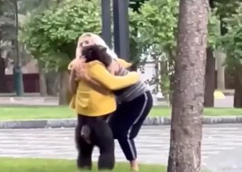 Un cimpanzeu fugar din Harkov se întoarce la grădina zoologică pe bicicletă și cu o haină de ploaie | VIDEO