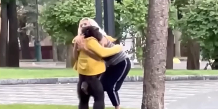 Un cimpanzeu fugar din Harkov se întoarce la grădina zoologică pe bicicletă și cu o haină de ploaie | VIDEO