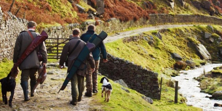 В Молдове ограничили места, где можно охотиться