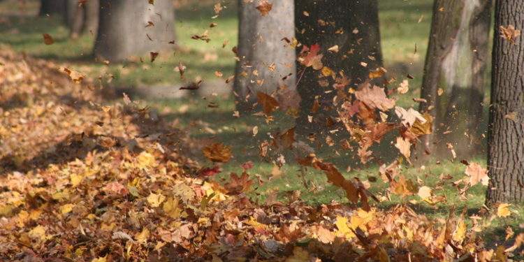 Meteorologii au anunțat vreme caldă pentru această săptămână