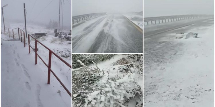 S-au întors ninsorile şi gerul în România! În ce regiuni a căzut deja prima zăpadă | VIDEO