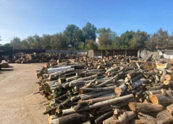 Important pentru cetățeni! Unde se pot adresa pentru a beneficia de lemne pentru foc