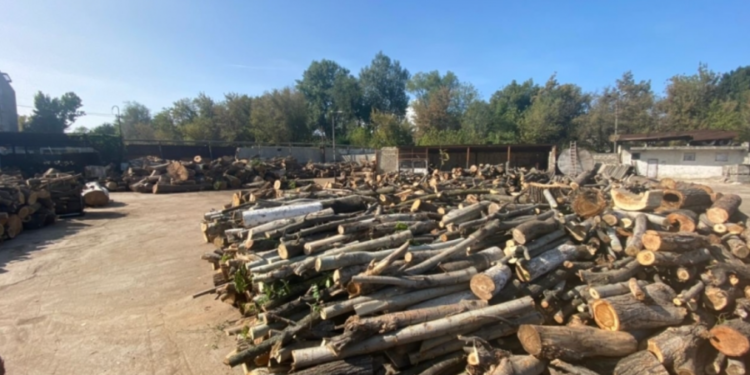 Important pentru cetățeni! Unde se pot adresa pentru a beneficia de lemne pentru foc