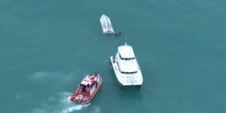 O balenă ar fi răsturnat o barcă, în Noua Zeelandă. 5 turiști au murit