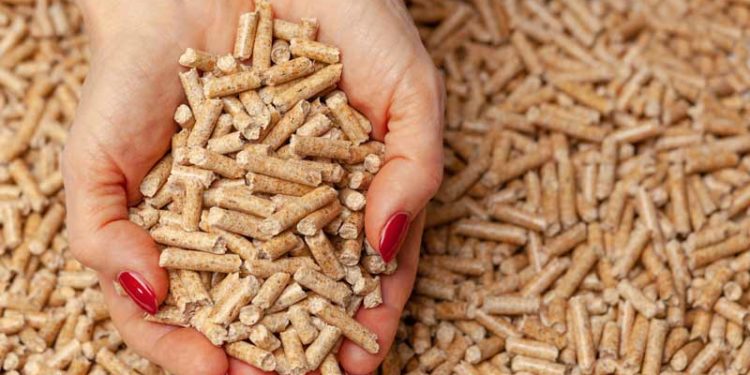 „ Numărul comenzilor a crescut de câteva ori”. Producătorii de peleți și brichete se plâng pe deficitul de materie primă și spun că sunt nevoiți să dubleze prețurile | VIDEO