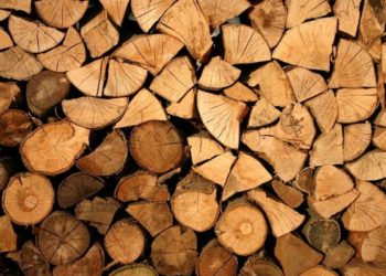 Moldovenii vor putea cumpăra mai mult lemn pentru foc. CSE a modificat mecanismul de eliberare a lemnului către populație | VIDEO