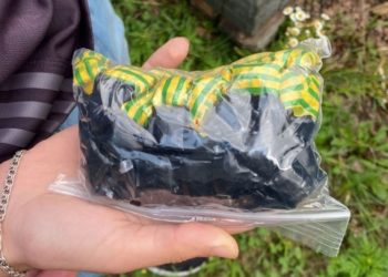 Prinși distribuind droguri în două parcuri din capitală: Trei tineri, dintre care un minor, cercetați penal pentru trafic de narcotice | VIDEO