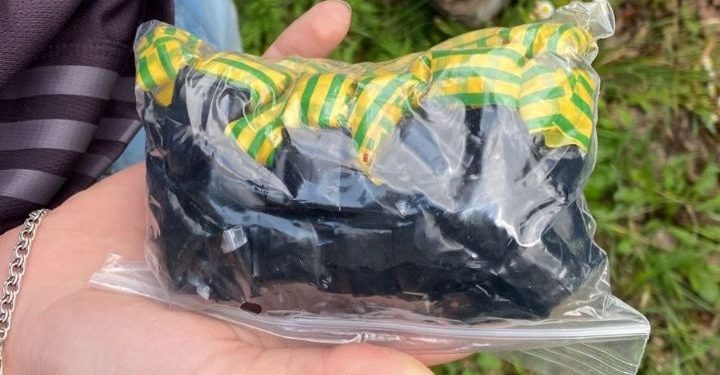 Prinși distribuind droguri în două parcuri din capitală: Trei tineri, dintre care un minor, cercetați penal pentru trafic de narcotice | VIDEO