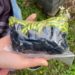 Prinși distribuind droguri în două parcuri din capitală: Trei tineri, dintre care un minor, cercetați penal pentru trafic de narcotice | VIDEO