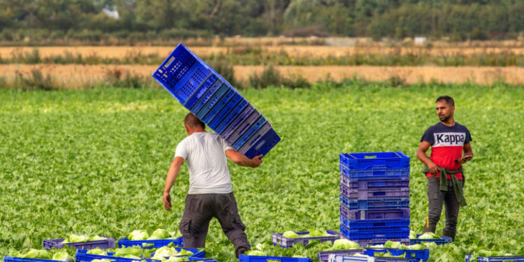 Marea Britanie va deschide și mai mult porțile pentru imigranți din cauză că nu are forță de muncă