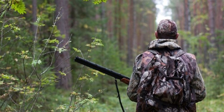 Четырех человек напавших на инспекторов охраны окружающей среды в Гидигиче поместили под арест
