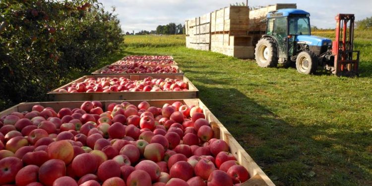 Илан Шор о решении Россельхознадзора разрешить экспорт сельхозпродукции: Всё можно решить, когда ведешь конструктивный диалог | VIDEO