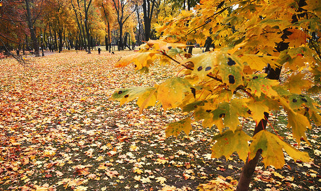 Синоптики рассказали, какой будет погода на это й неделе